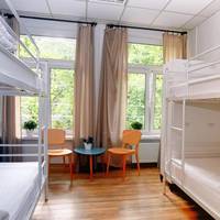 Bed in 4-Bed Dormitory Room