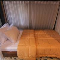 Backacker Dormitory Room