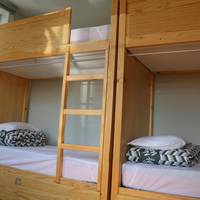 Bed in 4-Bed Dormitory Room