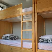 Bed in 6-Bed Dormitory Room