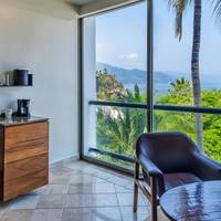 Partial Ocean View King