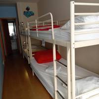 Bed in 4-Bed Dormitory Room