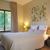 Superior Double Room with Garden View