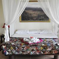 Double or Twin Room with Mountain View