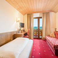 Monteur Single Room with sloping roof