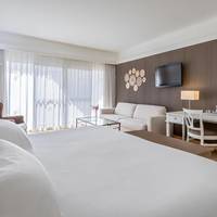 Deluxe Room with spa access