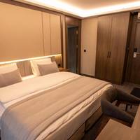 Large Single Room