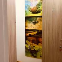 Bed in 4-Bed Female Dormitory Room