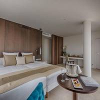 Privilege Double/Twin Room