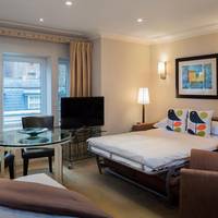 Open Plan One-Bedroom Apartment with Sofa Bed