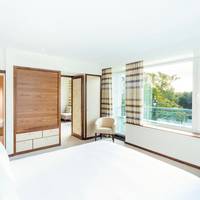 Deluxe One-Bedroom Park Suite