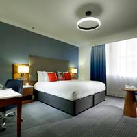 Deluxe Gold Accessible King Room
