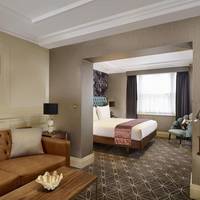 One-Bedroom King Suite