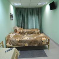 Single Bed in Mixed 2-Bed Dormitory Room