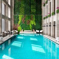 Wonderful King Room