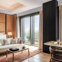 Premium Room with One King Bed  River View