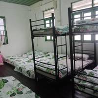 Mixed Dormitory Room