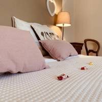 Comfort Single Room