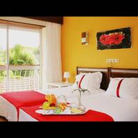 Double or Twin Room with Extra Bed