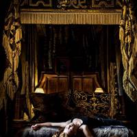 Deluxe Suite - Armoury