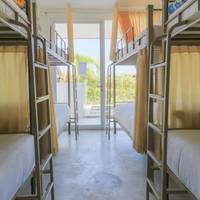 Single Bed in Mixed Dormitory Room