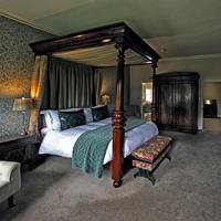Suite - Willoughby