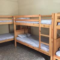 Bed in 7-Bed Mixed Dormitory Room 