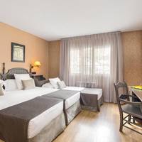 Melia Room (3 Adults)