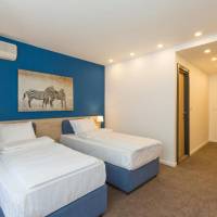 Superior Double or Twin Room with Terrace