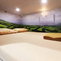 Mixed Dormitory Room