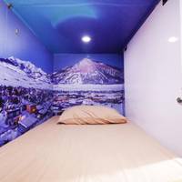 Bunk Bed in Mixed Dormitory Room