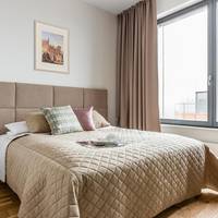 Two-Bedroom Penthouse Apartment with Terrace and River View 4/29