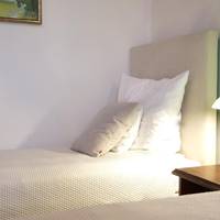Double or Twin Room (24)