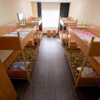 Bed in 8-Bed Dormitory Room