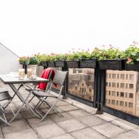 One-Bedroom Apartment with Terrace