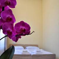 Economy Double or Twin Room