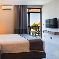 Superior Double or Twin Room with Terrace