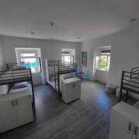 Bunk Bed in Mixed Dormitory Room