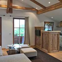Apartment with Mountain View