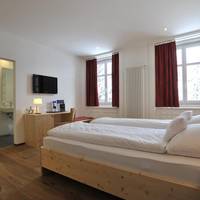 Standard Double Room Forest Side