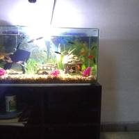 Large Twin Room
