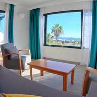 Superior One-Bedroom Apartment with Terrace