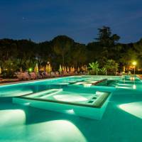 Single Room with Pool View