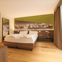 Superior Deluxe Double or Twin Room 