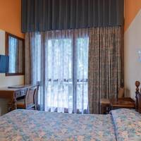 Basic Twin Room
