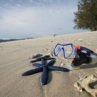 Special Offer - Deluxe Bungalow Sea View with Snorkelling Trip to 3 Islands