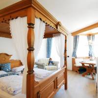 Double or Twin Room with Mountain View