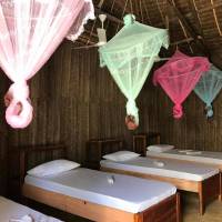 Single Bed in Mixed Dormitory Room