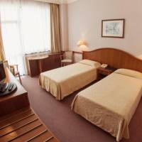 Double or Twin Room with Mountain View
