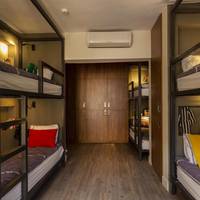 Bed in 8-Bed Dormitory Room